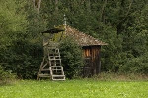 hunter's cabin near Beuron