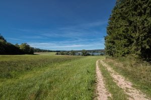 path through the fields in the High Black Forest