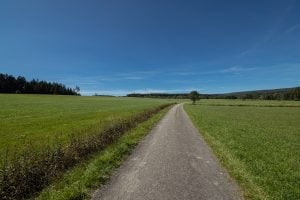 the way to walk from Waldhausen to Friedenweiler
