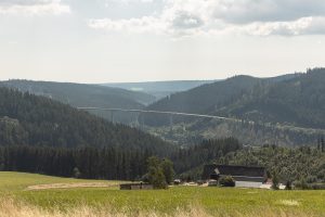 the way down to Titisee