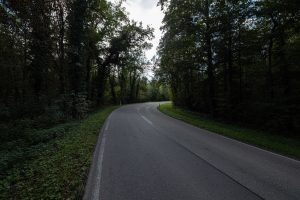 no bike lane no sidewalk on this forest road