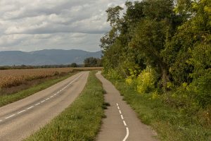the way to walk from Marckolsheim to Sélestat