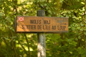The Wolf's Way in French and Alsatian