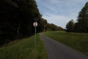 the bicycle path along the Rhine near Leimersheim