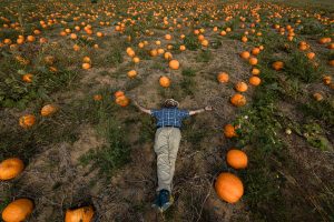found a pumpkin field yo