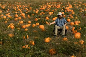I sit between a bunch of pumpkins.