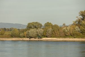 fishing in the Rhein