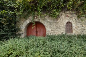 door in a wall in Guntersblum
