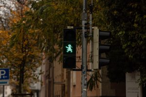 green little girl traffic light in Fulda