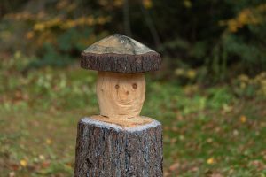 wood head