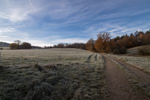 frost on the fields
