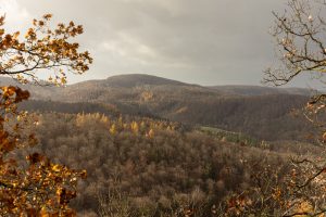 the hills near the Wartburg
