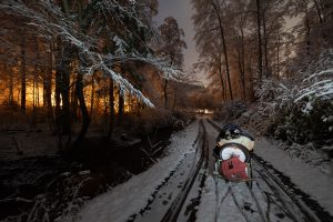 the Caboose on a wintery forest path at night
