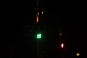 (green) pedestrian traffic light in Göttingen