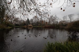 pond in Holzminden