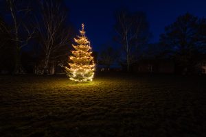 Christmas tree in Kirchbrak